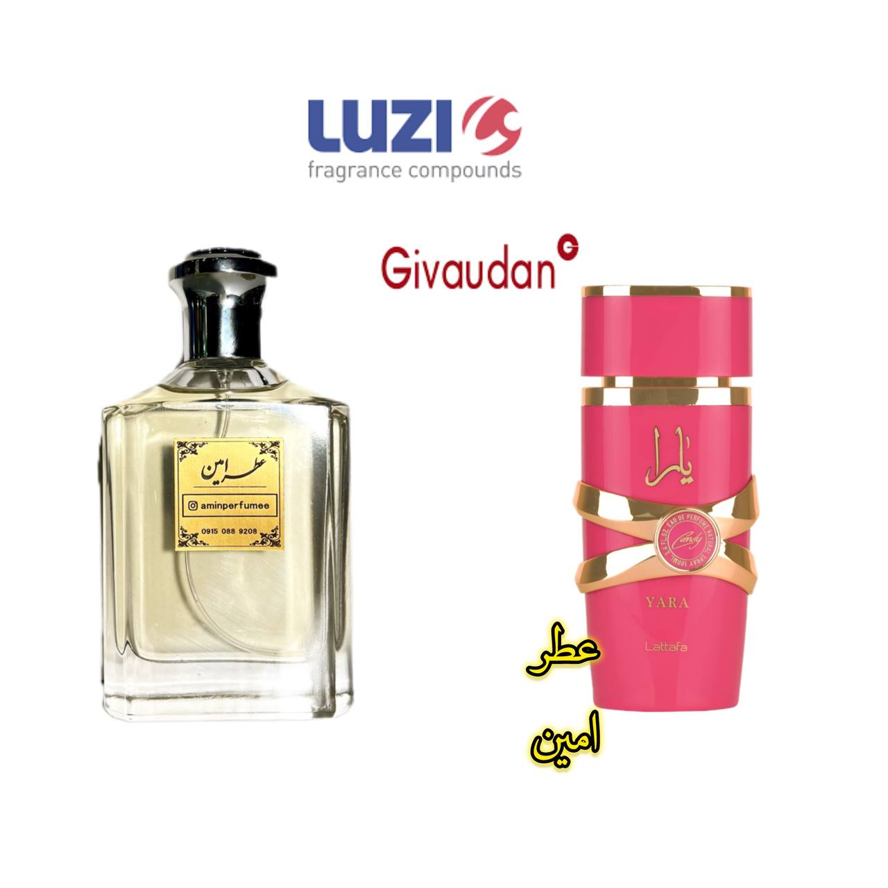 لطافه یارا کندی